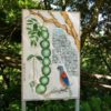 奄美大島の珍しい植物を探索！世界最大の豆と呼ばれるモダマ群生地へ