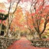 【滋賀】鶏足寺の紅葉は真っ赤に染まる超おすすめ絶景スポット