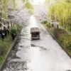 【京都】坂本龍馬ゆかりの寺田屋周辺！伏見の濠川を走る十石舟の桜景色