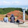 【奈良】葛城山を赤く彩るツツジ園！ロープウェイでなく歩いて山頂へ