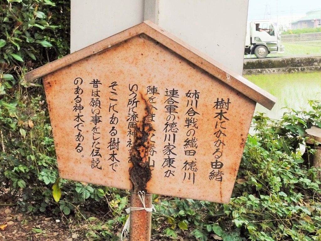 姉川古戦場、徳川本陣跡