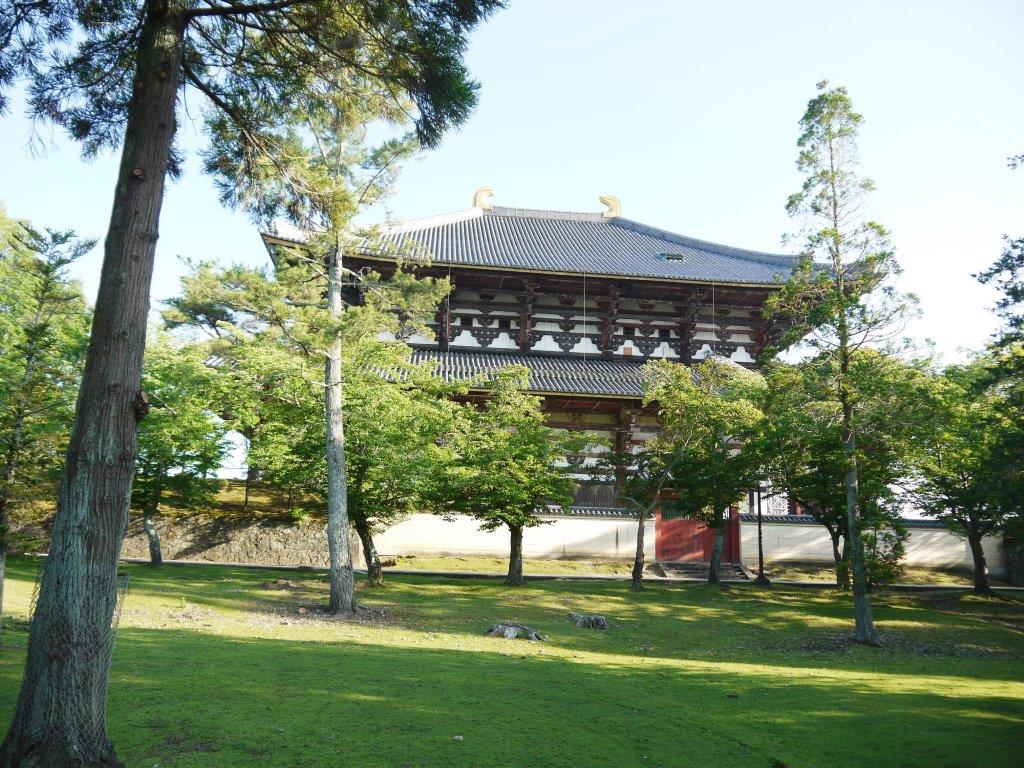 東大寺のホタル