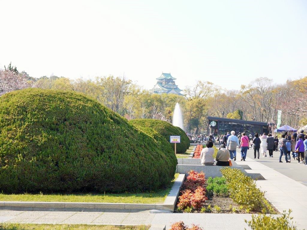 大阪城、桜