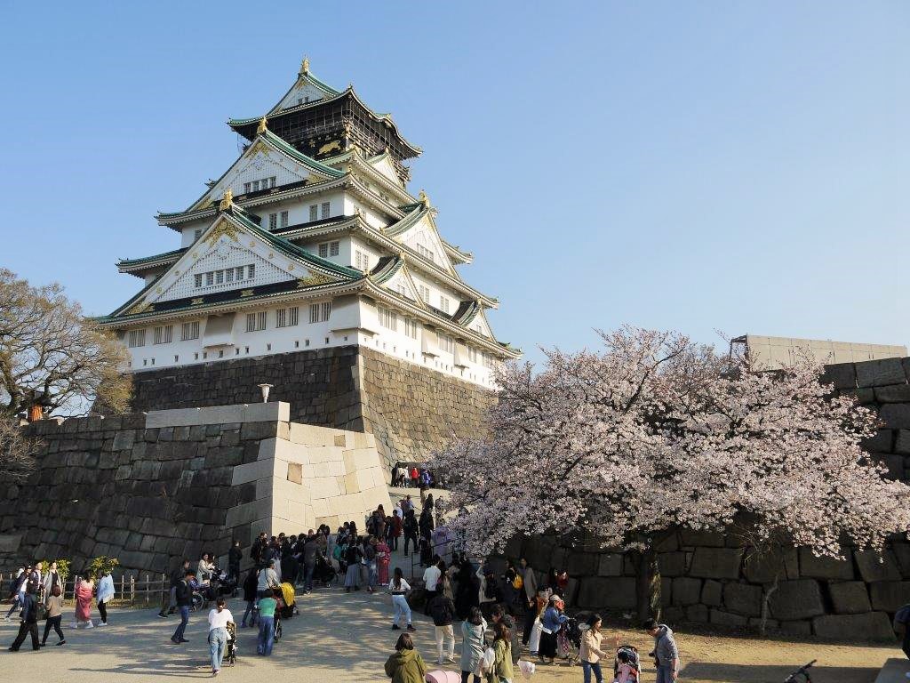 大阪城、桜