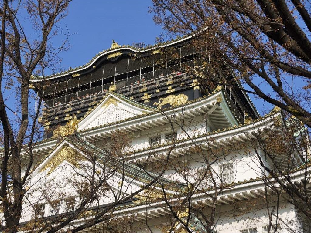 大阪城、桜
