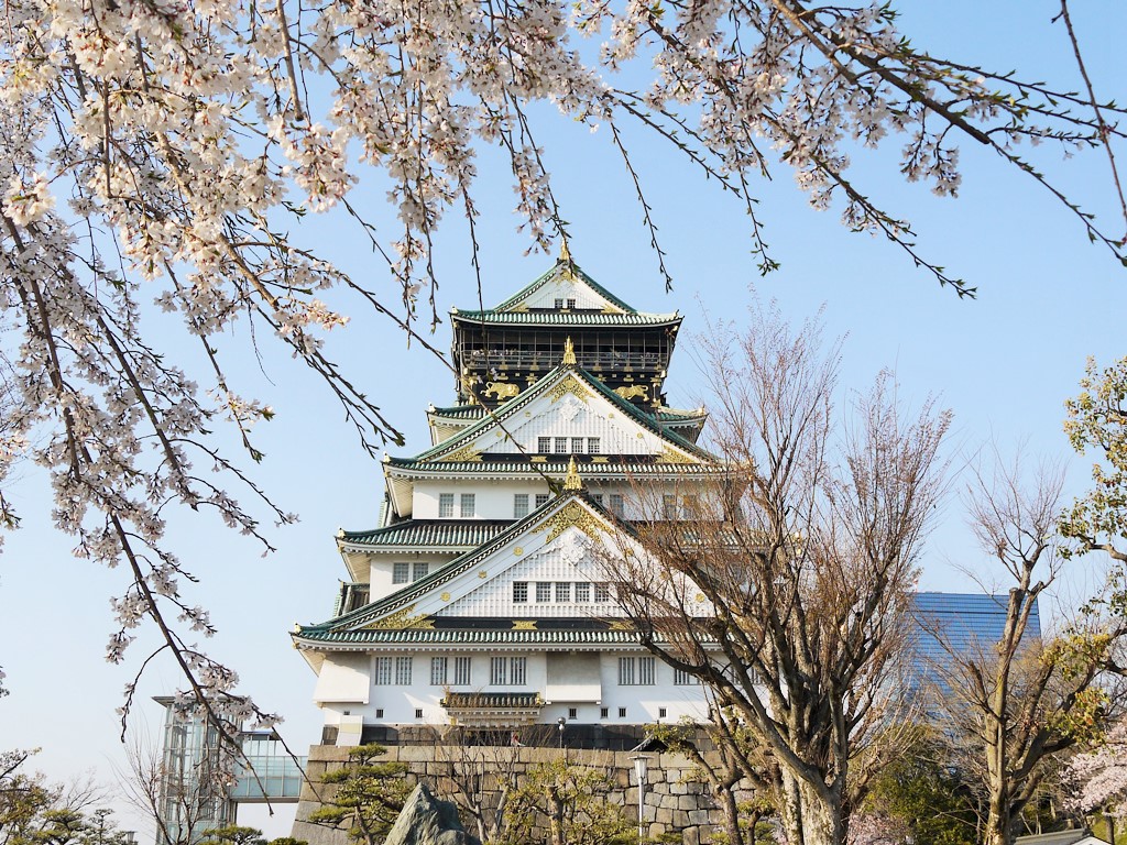 大阪城、桜