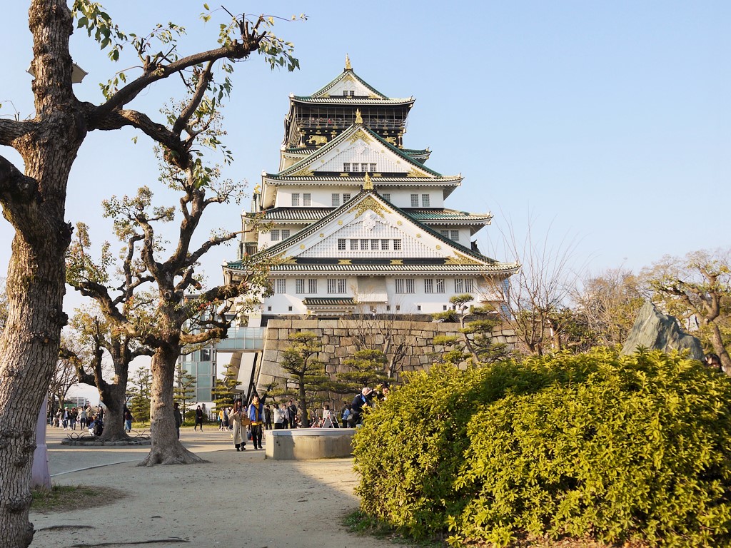 大阪城、桜