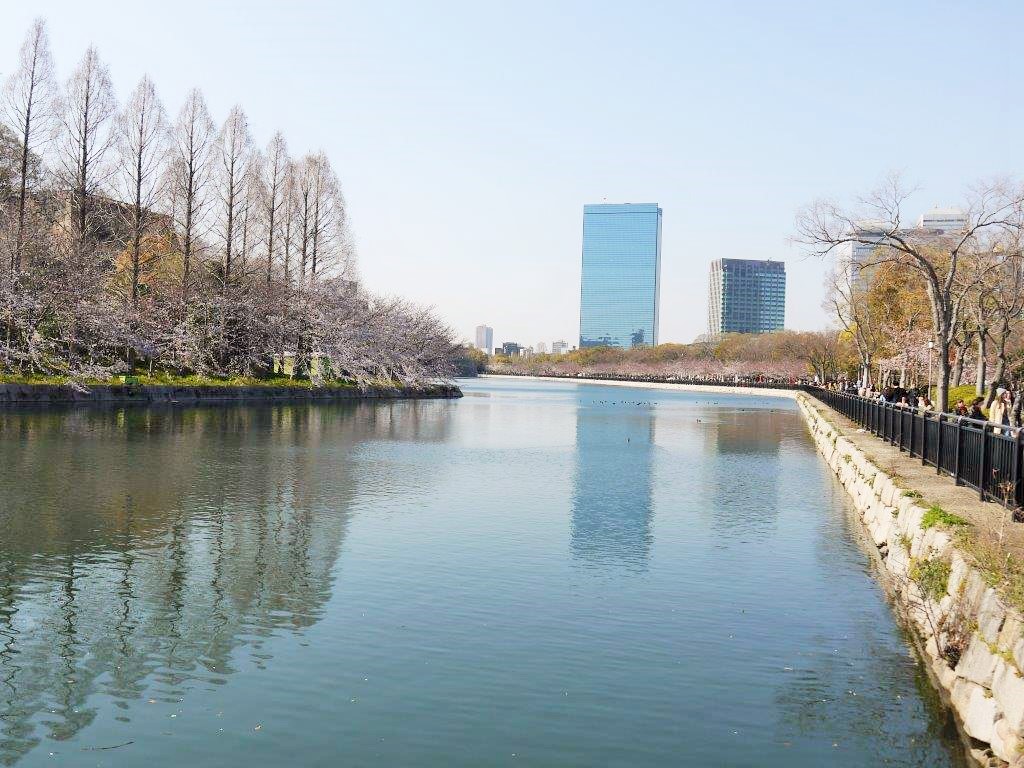 大阪城、桜