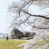【奈良】石舞台古墳で桜が満開！ここは花見の穴場＆子連れにおすすめ