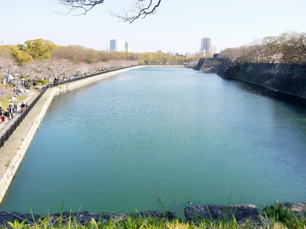 大阪城、桜