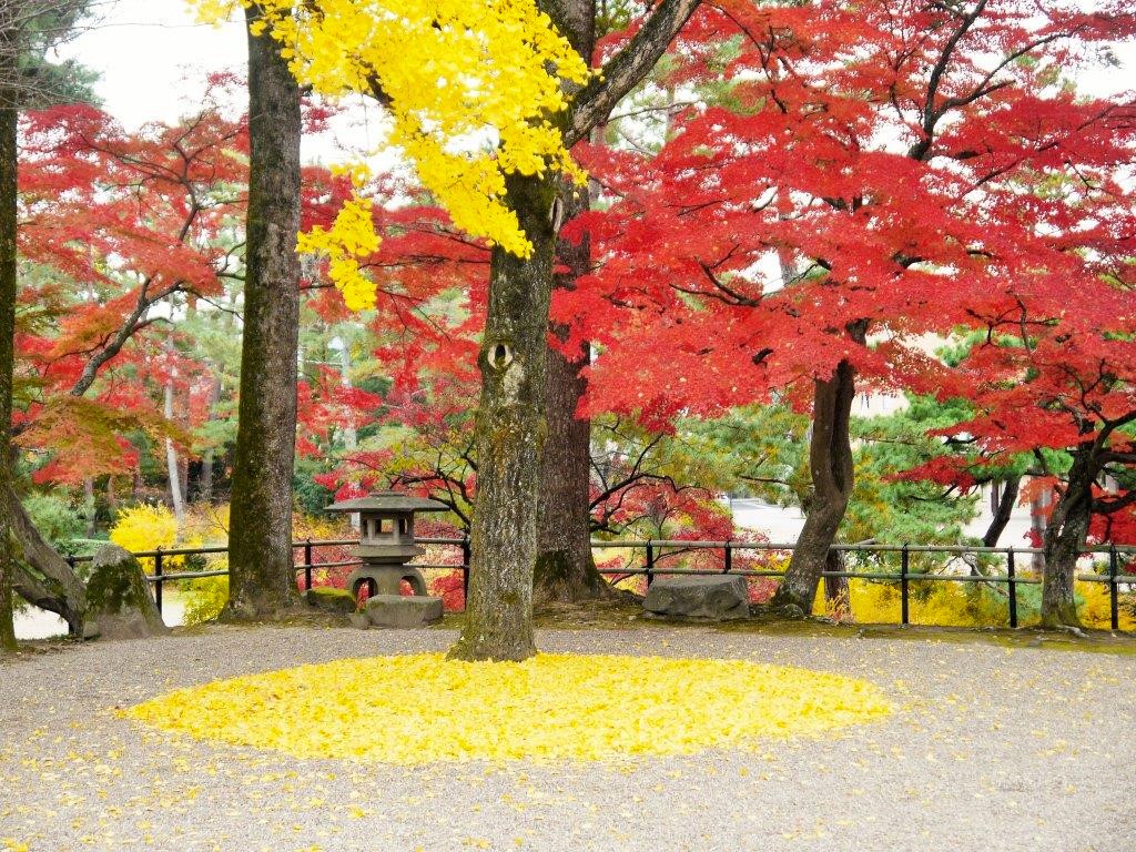亀山城跡、紅葉