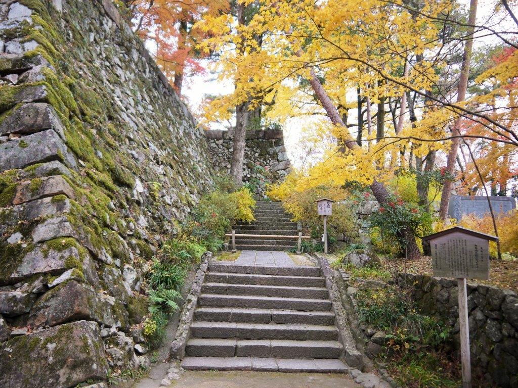 亀山城跡、紅葉
