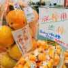 【和歌山】秋に行きたい道の駅「くしがきの里」は渋柿がおすすめ！