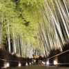 【京都】冬の嵐山は幻想的な竹林＆法輪寺のライトアップ花灯路