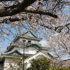 和歌山城で桜満開！意外と穴場な駐車場＆大手門から天守閣まで歩く
