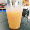 【和歌山】紀の川市「めっけもん広場」の100％桃ジュースは激ウマ！
